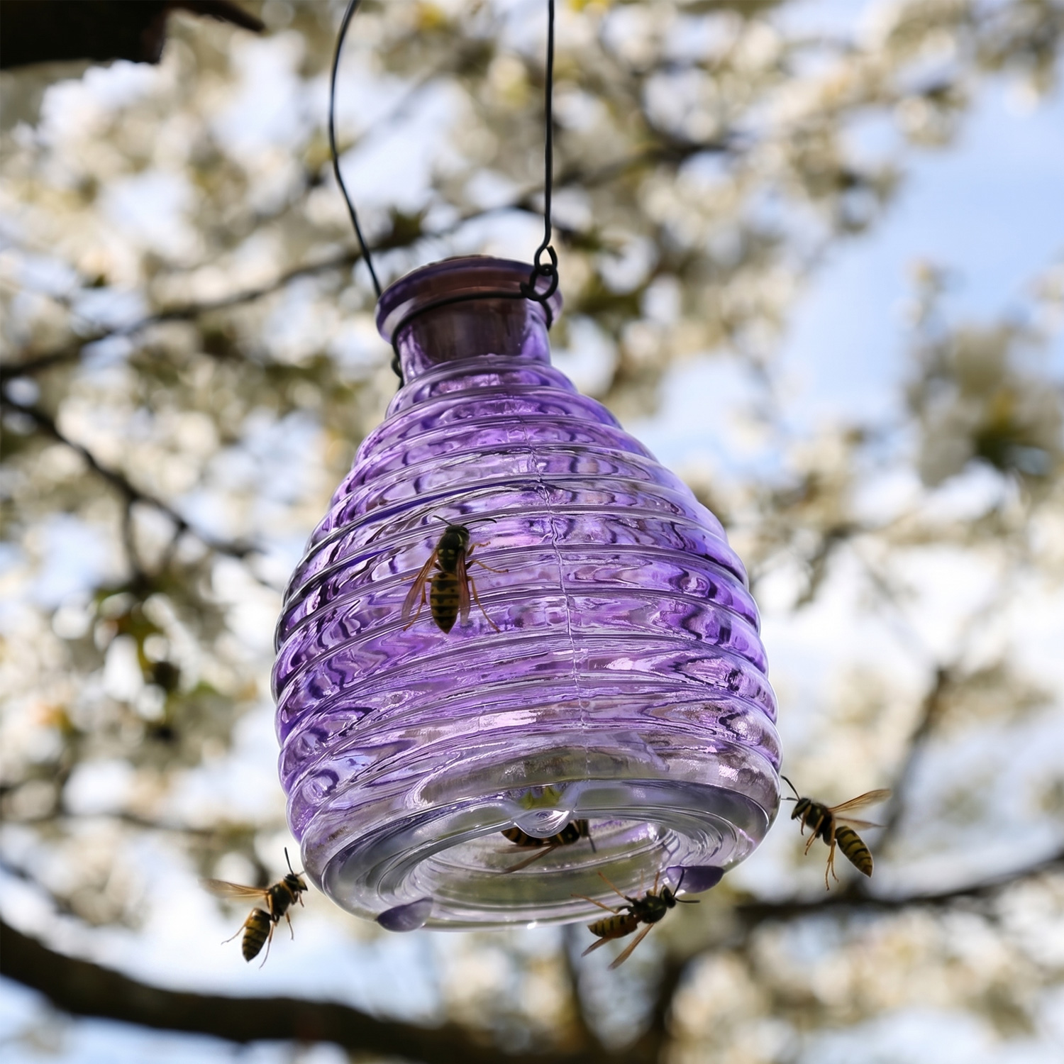 Wespenfänger HONIGTOPF - Wespenfalle - geriffeltes Glas - D: 13cm - H: 17cm