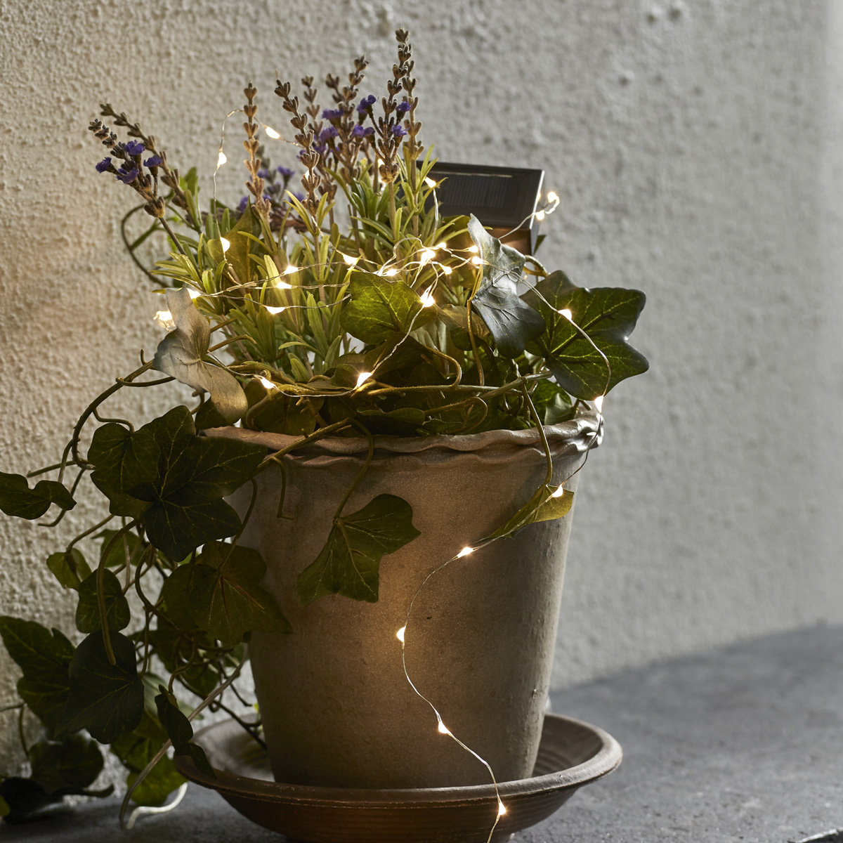 LED-Solar-Lichterkette mit 50 warmweißen LEDs an silbernem Draht - 5m - Dämmerungssensor LED-Solar-Lichterkette mit 50 warmweißen LEDs an silbernem Draht - 5m - Dämmerungssensor