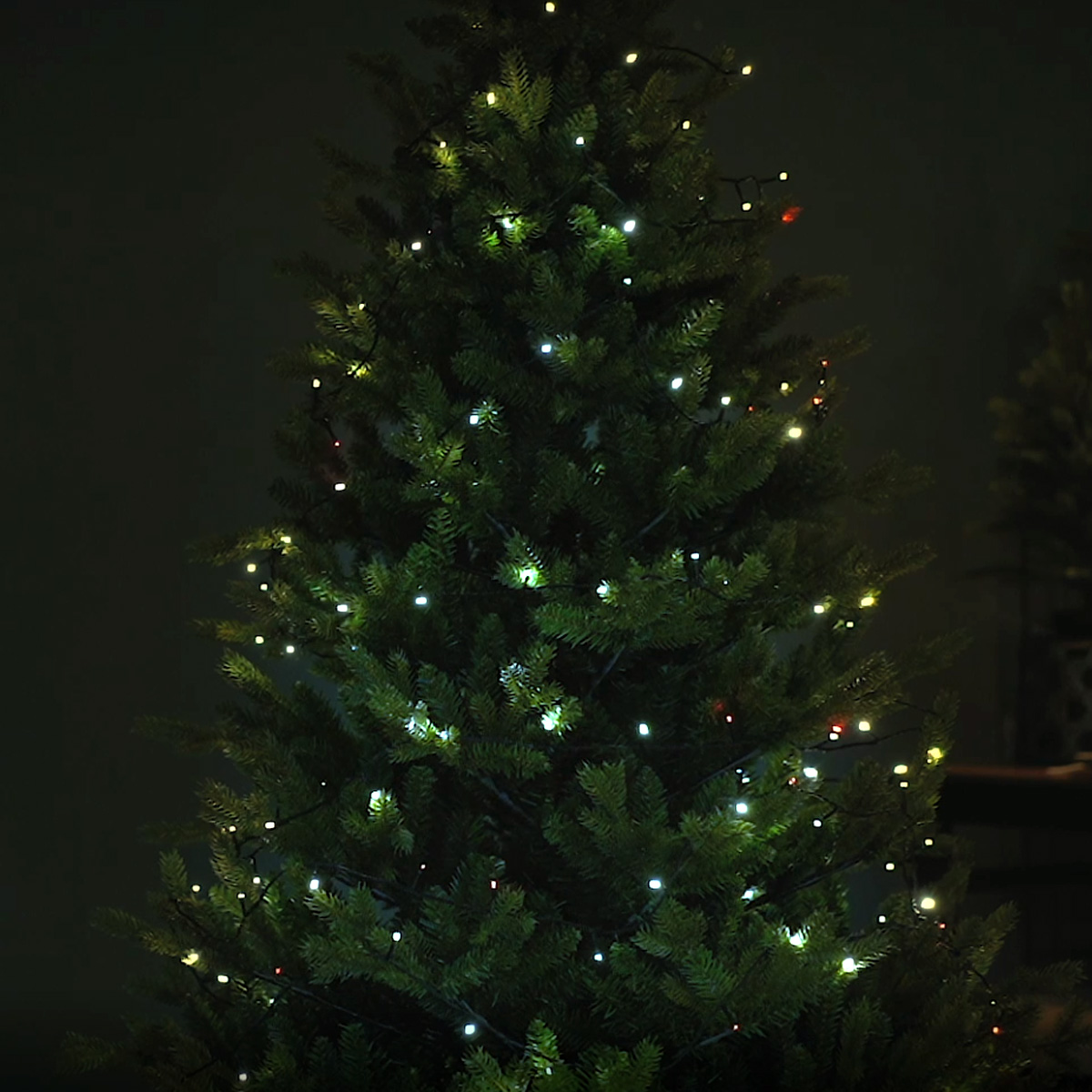 LED Lichterkette - App gesteuert - 200 farbwechselnde LED - viele Funktionen - L: 19,9m - grün LED Lichterkette - App gesteuert - 200 farbwechselnde LED - viele Funktionen - L: 19,9m - grün