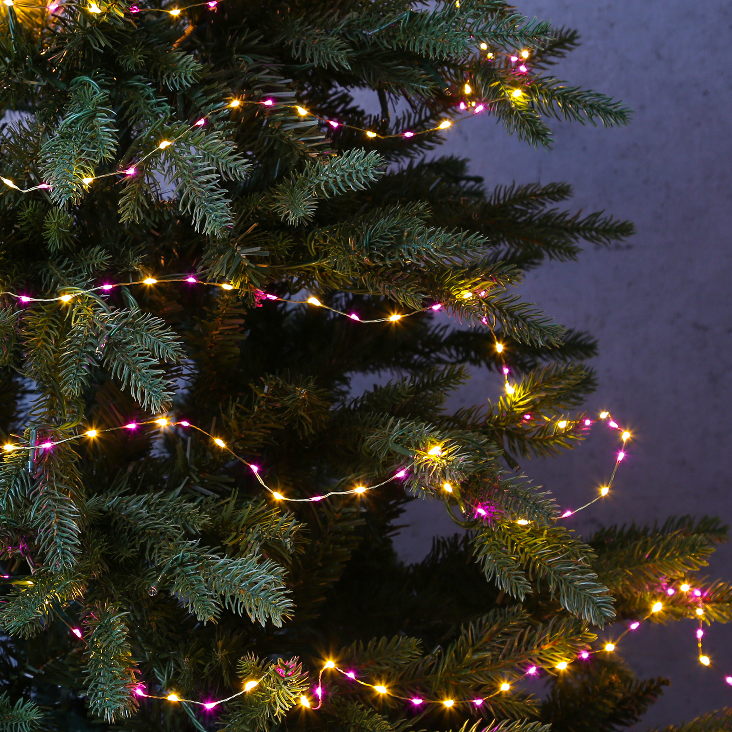 LED Drahtlichterkette Compact - 567 pink-/bernsteinfarbene LED - L: 9m - 8 Funkt. - Trafo - gold LED Drahtlichterkette Compact - 567 pink-/bernsteinfarbene LED - L: 9m - 8 Funkt. - Trafo - gold