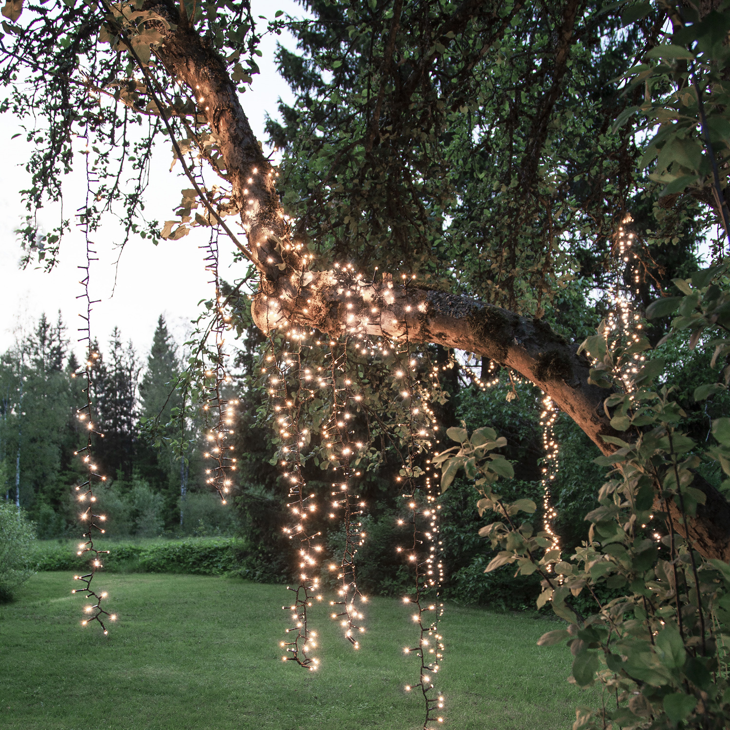 LED Lichterkette - Serie LED - outdoor - 540 neutralweiße LED - L: 11m - schwarzes Kabel LED Lichterkette - Serie LED - outdoor - 540 neutralweiße LED - L: 11m - schwarzes Kabel